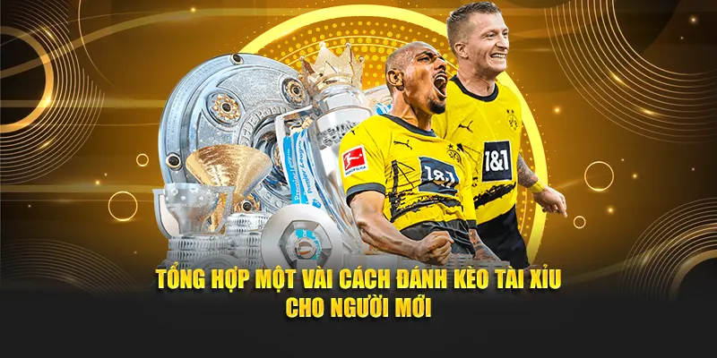 Tổng hợp một vài cách đánh kèo tài xỉu cho người mới
