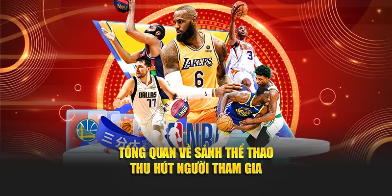 Tổng quan về sảnh thể thao thu hút người tham gia