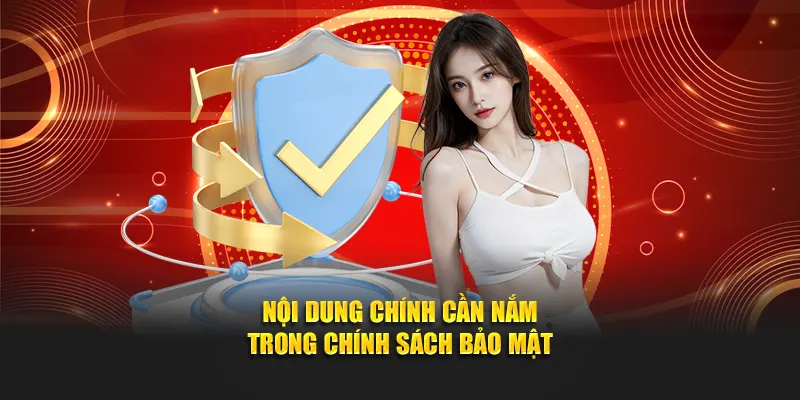 Những điểm quan trọng trong chính sách bảo mật