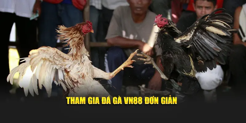 Tham gia đá gà VN88 đơn giản